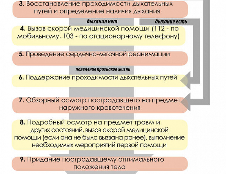 Оказание первой помощи